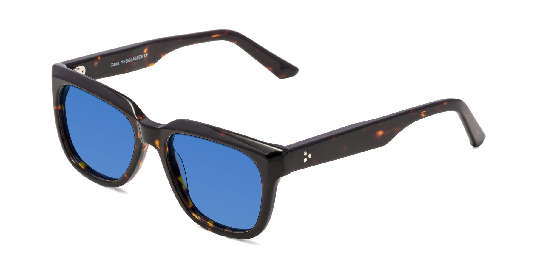 Angle of Cade in Tortoise with Blue Tinted Lenses