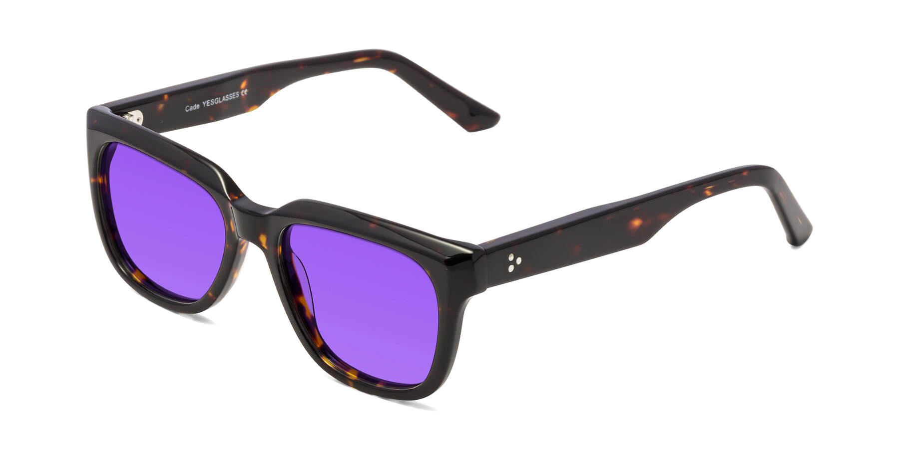 Angle of Cade in Tortoise with Purple Tinted Lenses