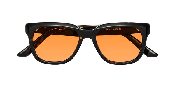 Front of Cade in Tortoise