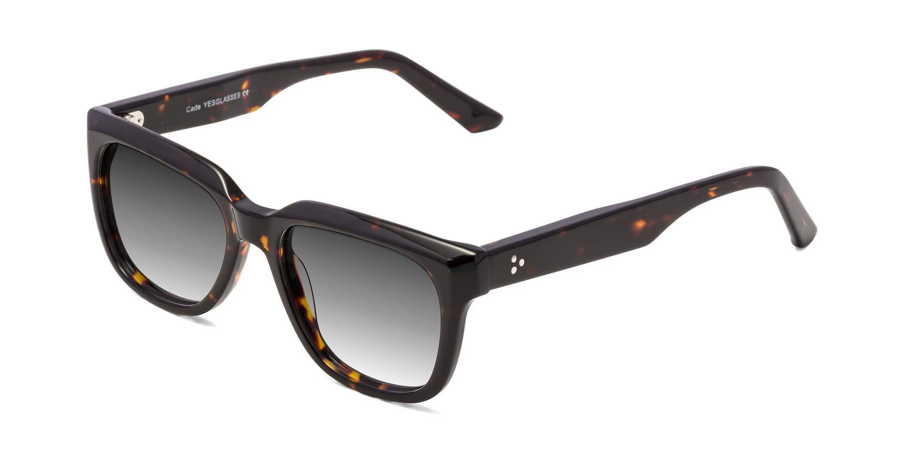 Angle of Cade in Tortoise with Gray Gradient Lenses