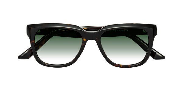 Front of Cade in Tortoise