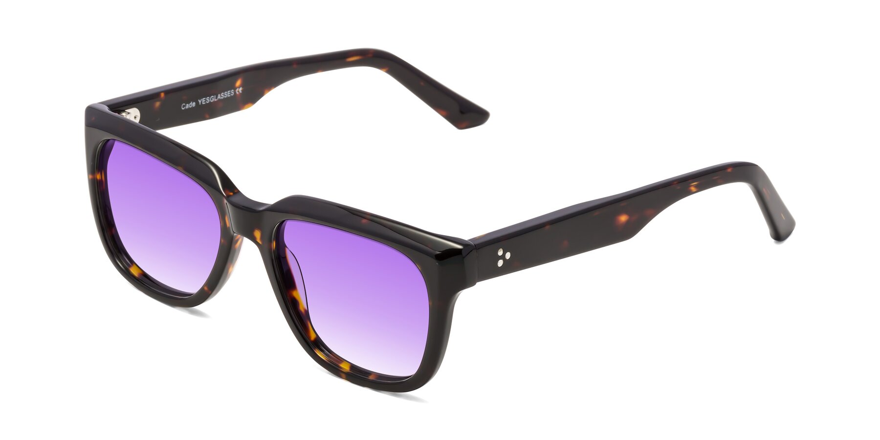 Angle of Cade in Tortoise with Purple Gradient Lenses