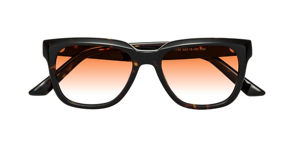 Front of Cade in Tortoise