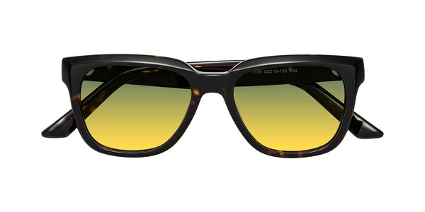 Front of Cade in Tortoise