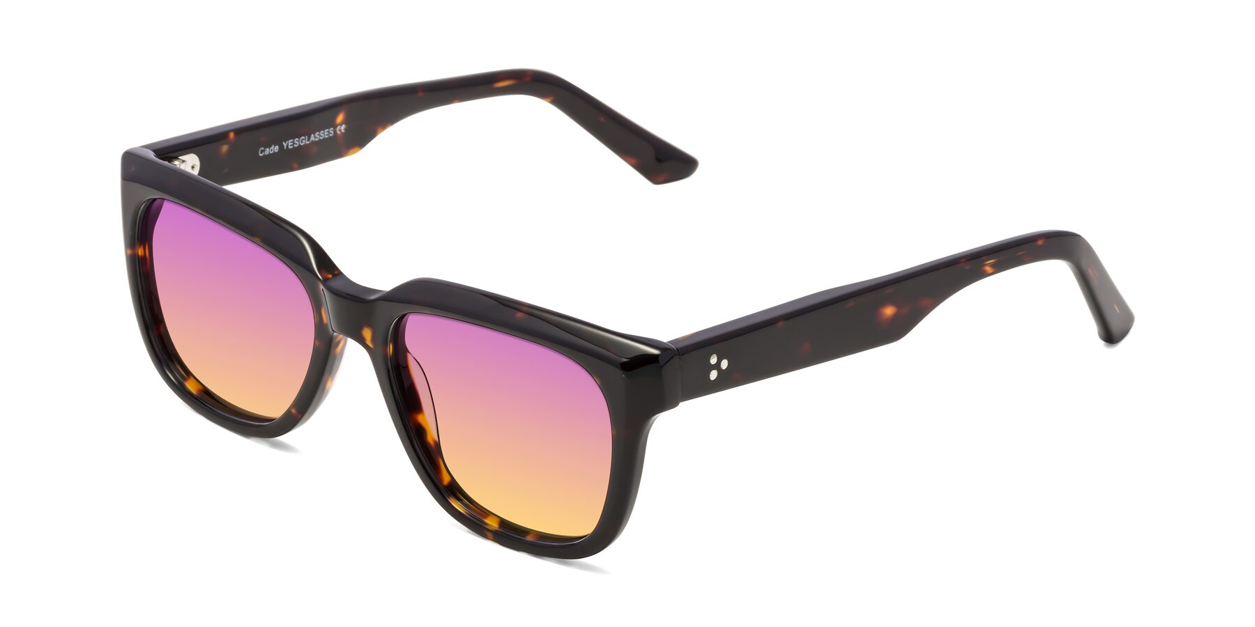 Angle of Cade in Tortoise with Purple / Yellow Gradient Lenses