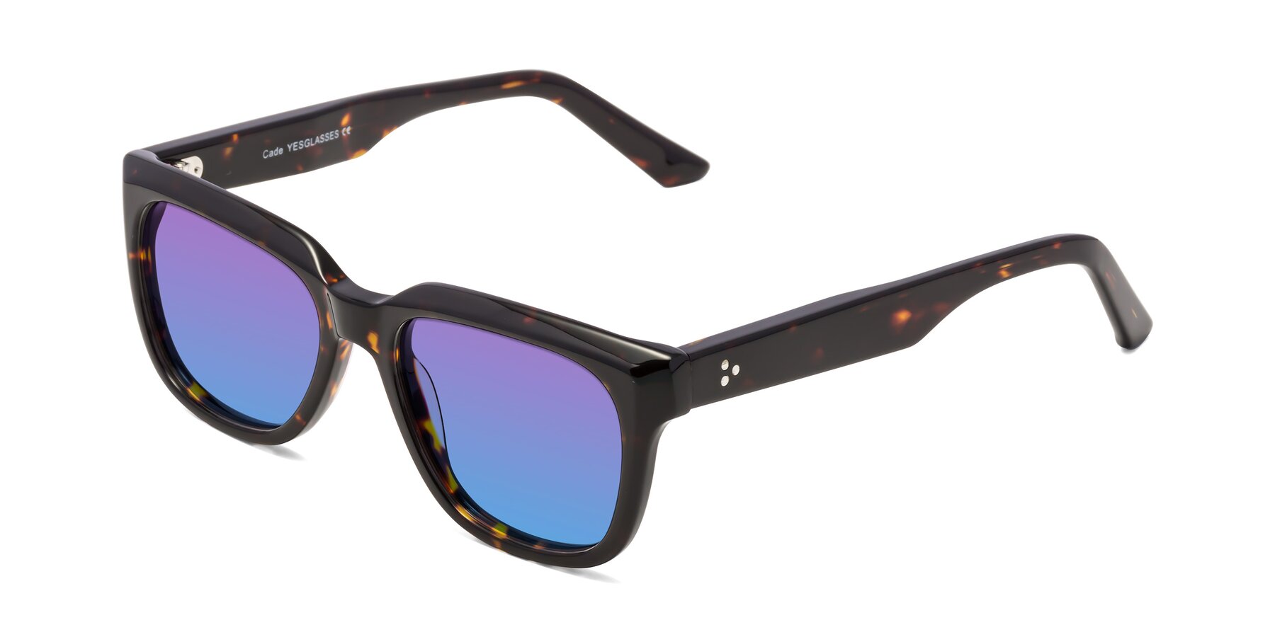 Angle of Cade in Tortoise with Purple / Blue Gradient Lenses