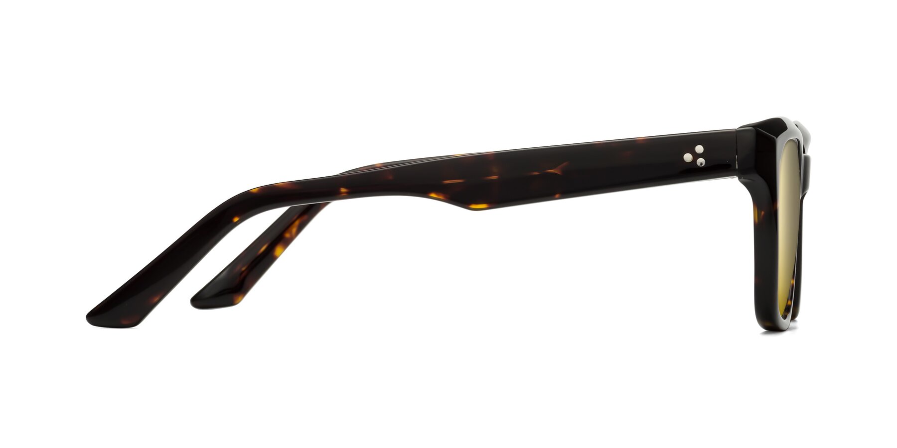 Side of Cade in Tortoise with Gold Mirrored Lenses