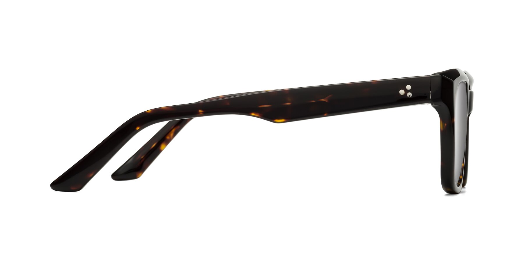 Side of Cade in Tortoise with Silver Mirrored Lenses