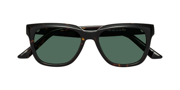 Front of Cade in Tortoise