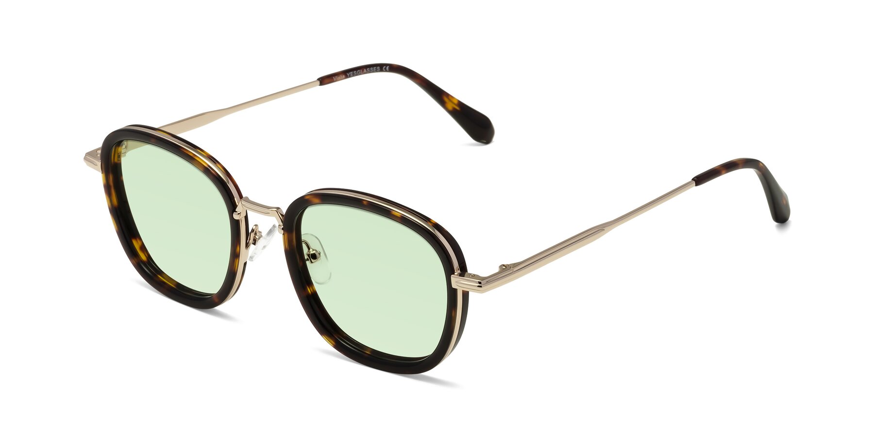 Angle of Vista in Tortoise-Light Gold with Light Green Tinted Lenses