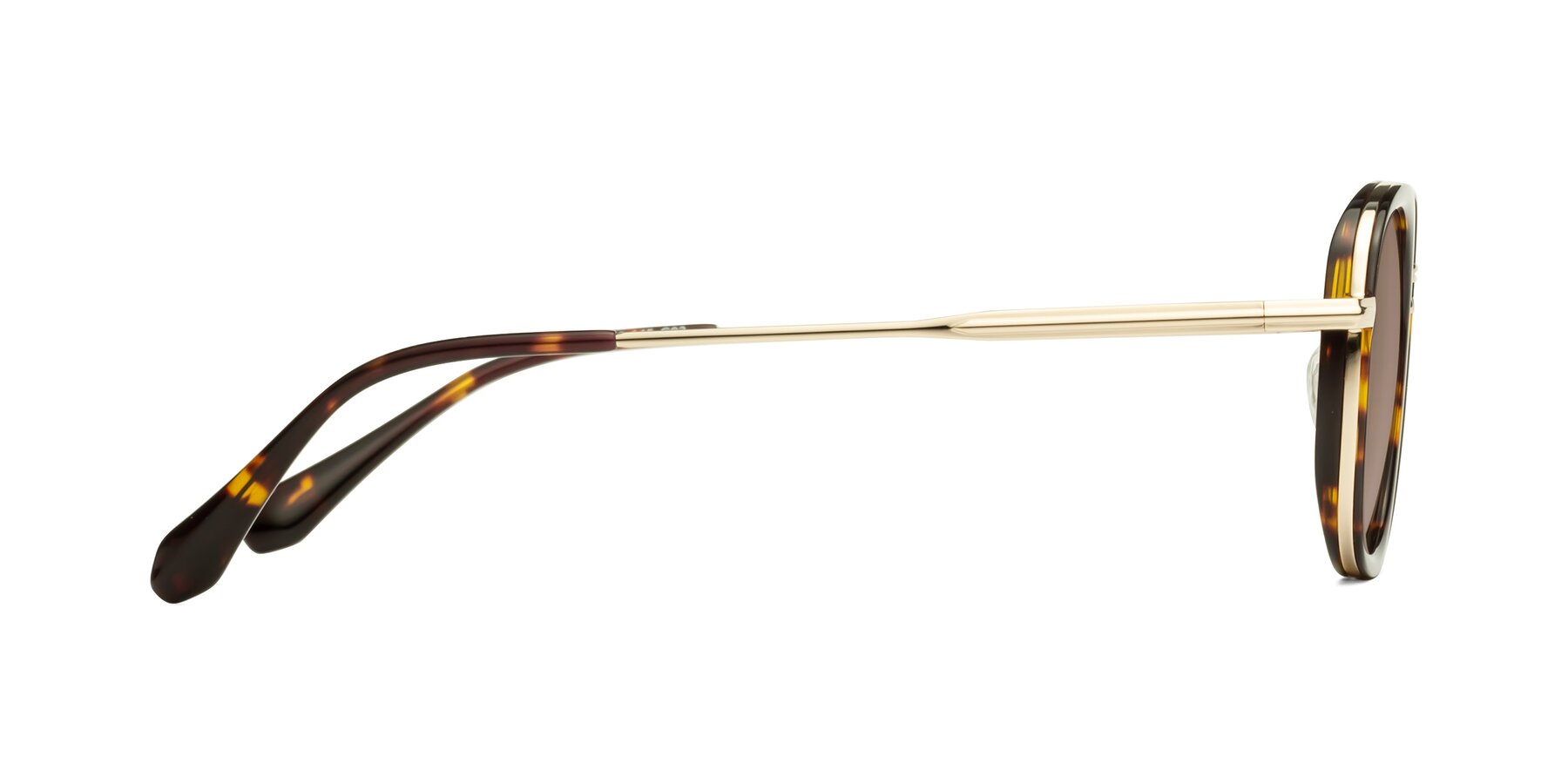 Side of Vista in Tortoise-Light Gold with Medium Brown Tinted Lenses