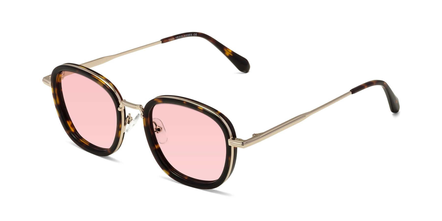 Angle of Vista in Tortoise-Light Gold with Light Garnet Tinted Lenses