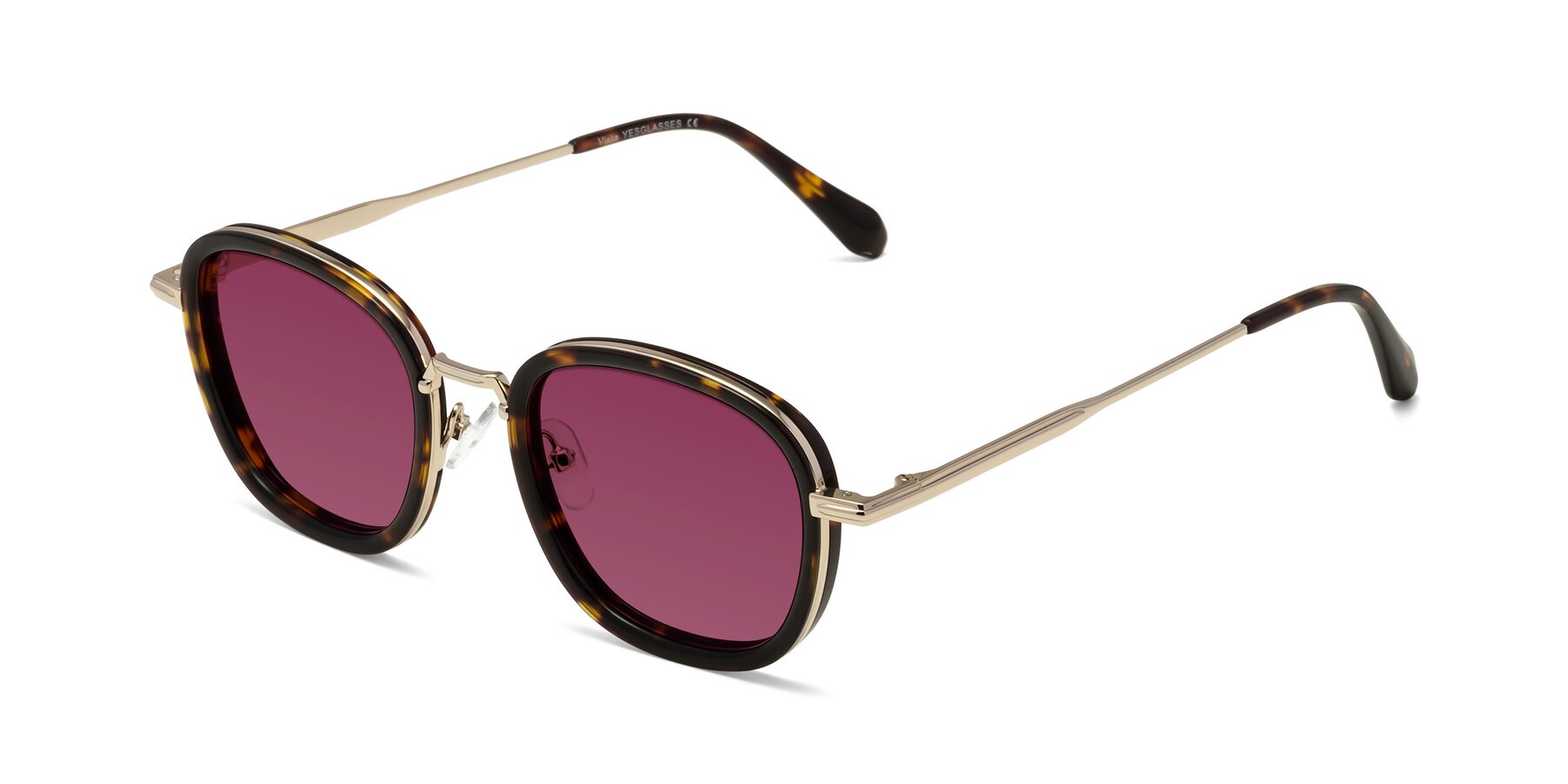 Angle of Vista in Tortoise-Light Gold with Wine Tinted Lenses