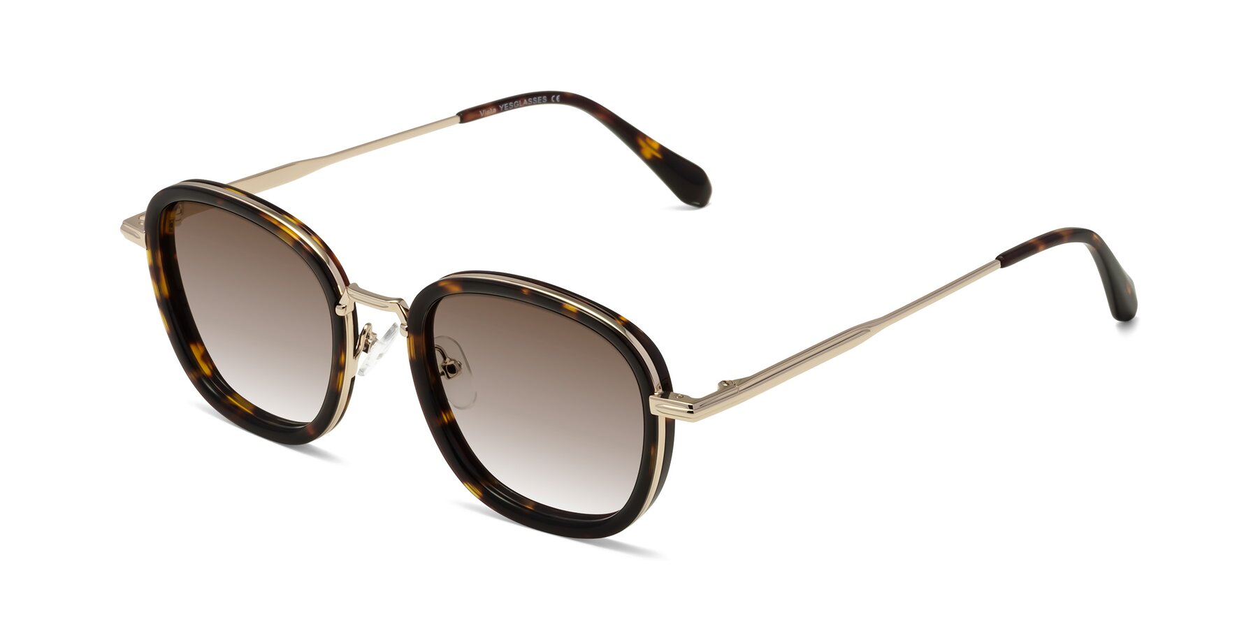 Angle of Vista in Tortoise-Light Gold with Brown Gradient Lenses
