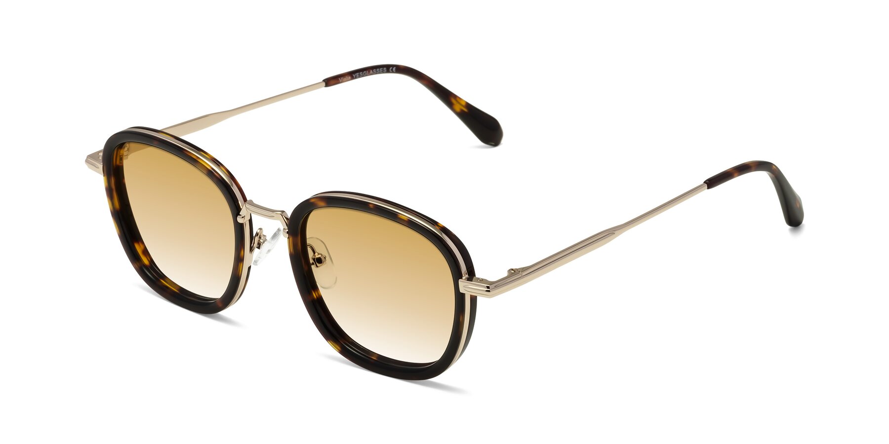 Angle of Vista in Tortoise-Light Gold with Champagne Gradient Lenses