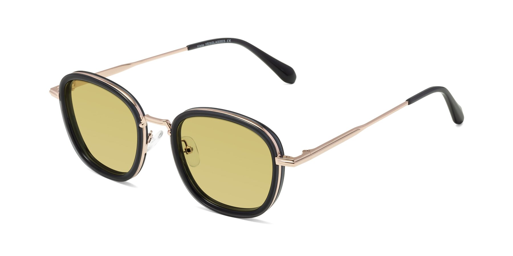 Angle of Vista in Deep Gray-Light Gold with Medium Champagne Tinted Lenses