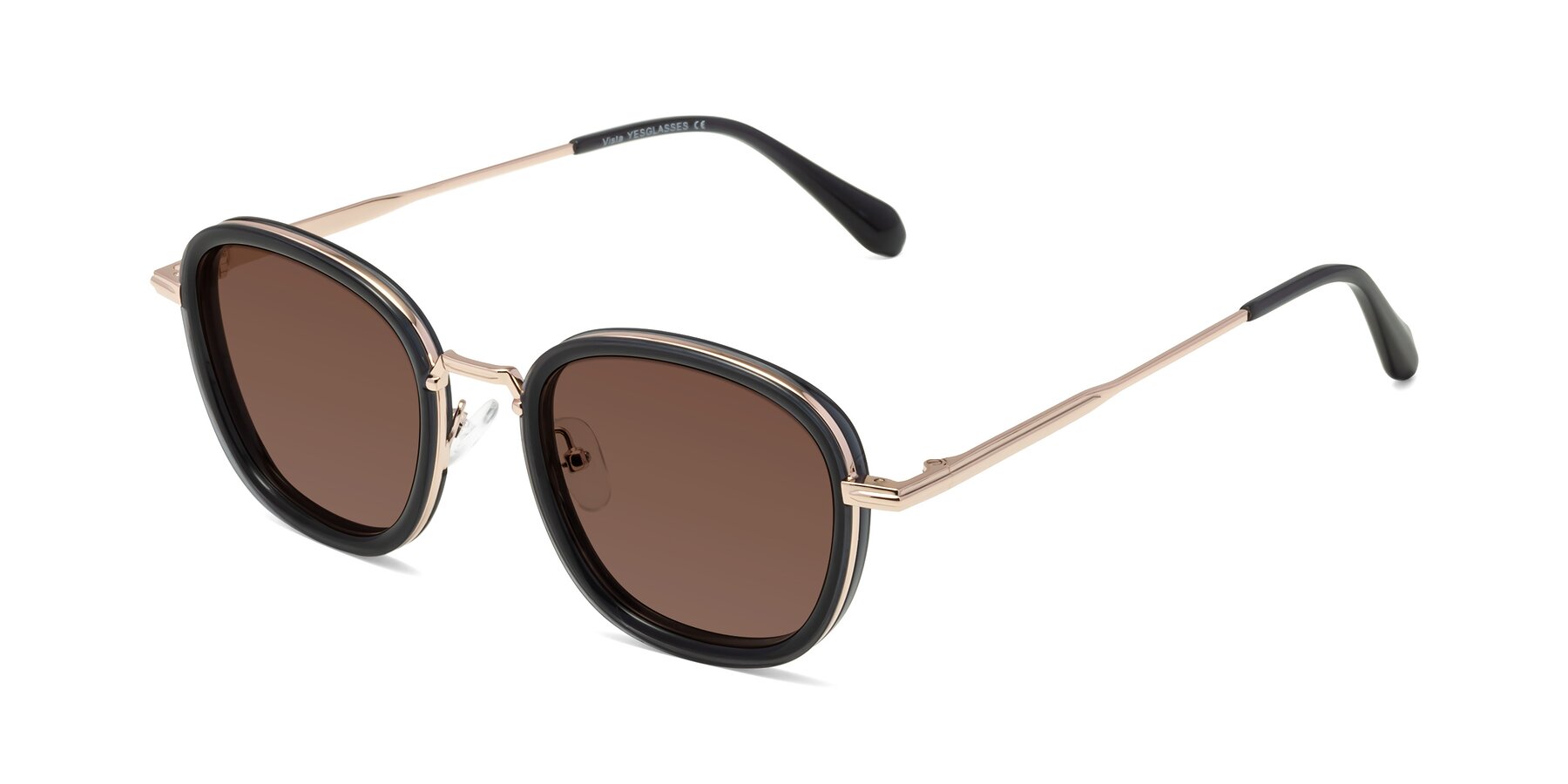 Angle of Vista in Deep Gray-Light Gold with Brown Tinted Lenses