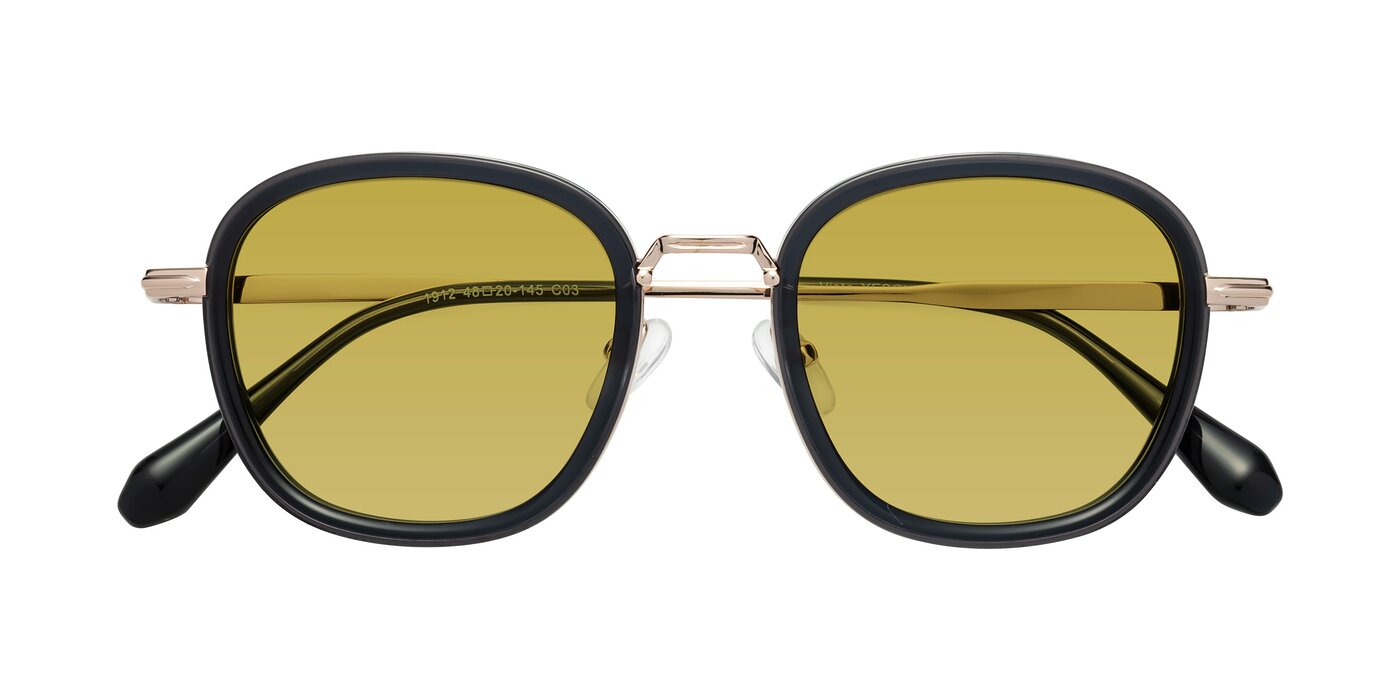 Vista - Deep Gray/Light Gold Tinted Sunglasses