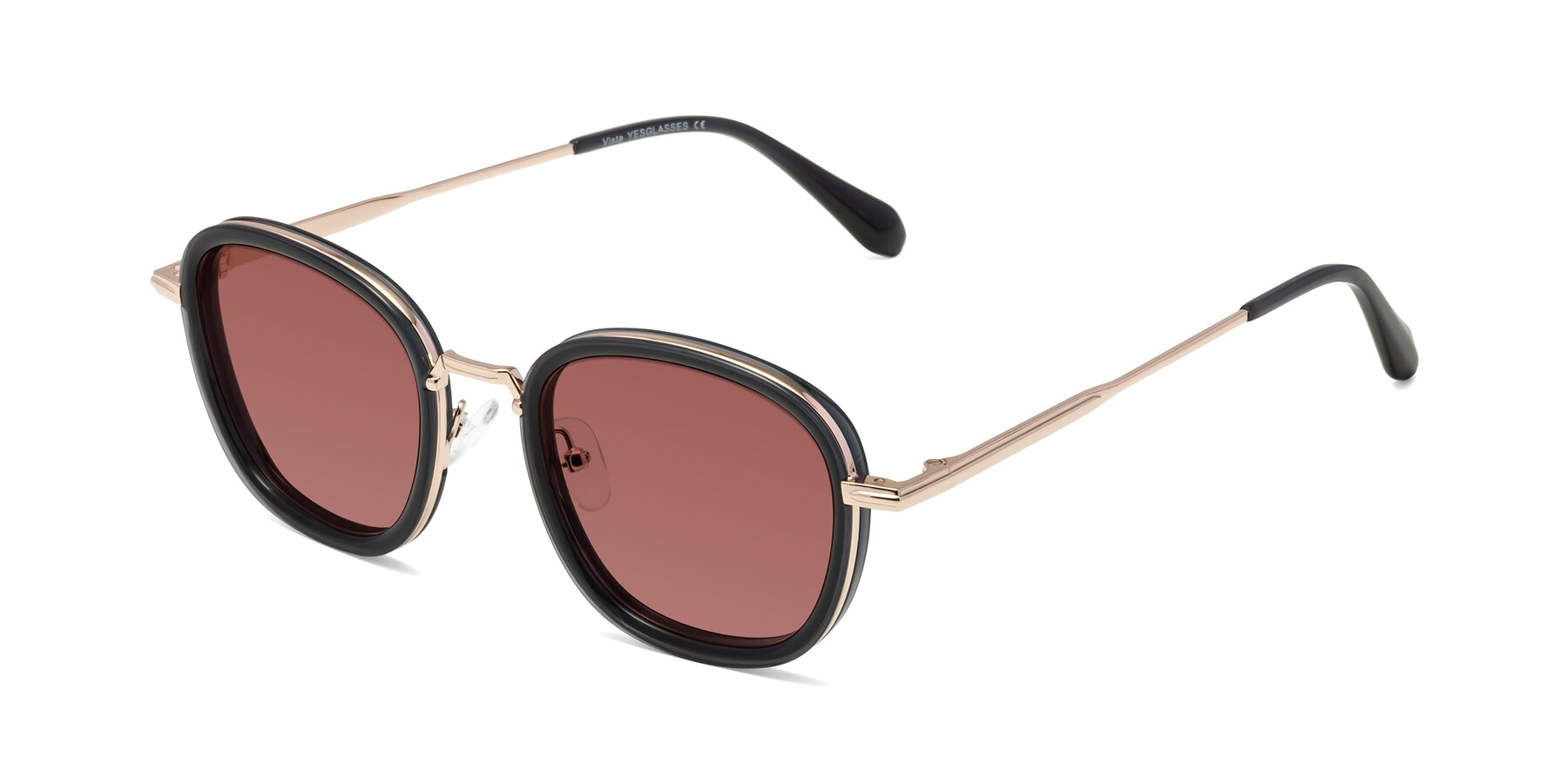 Angle of Vista in Deep Gray-Light Gold with Garnet Tinted Lenses