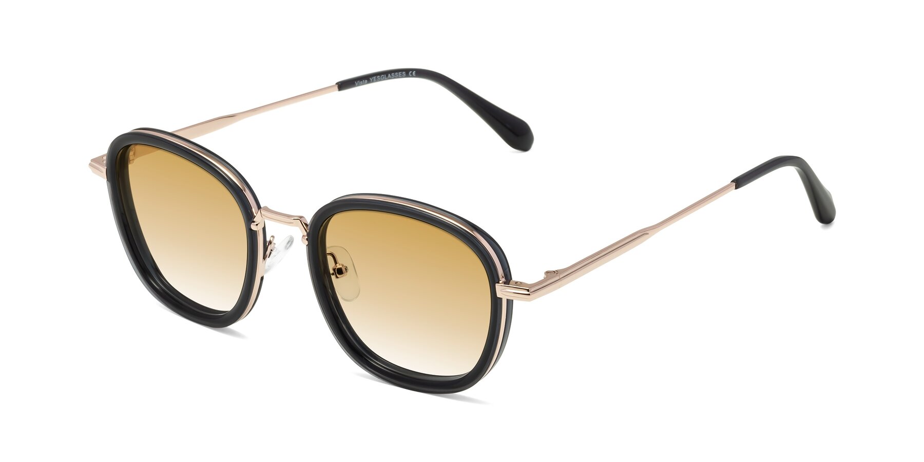Angle of Vista in Deep Gray-Light Gold with Champagne Gradient Lenses