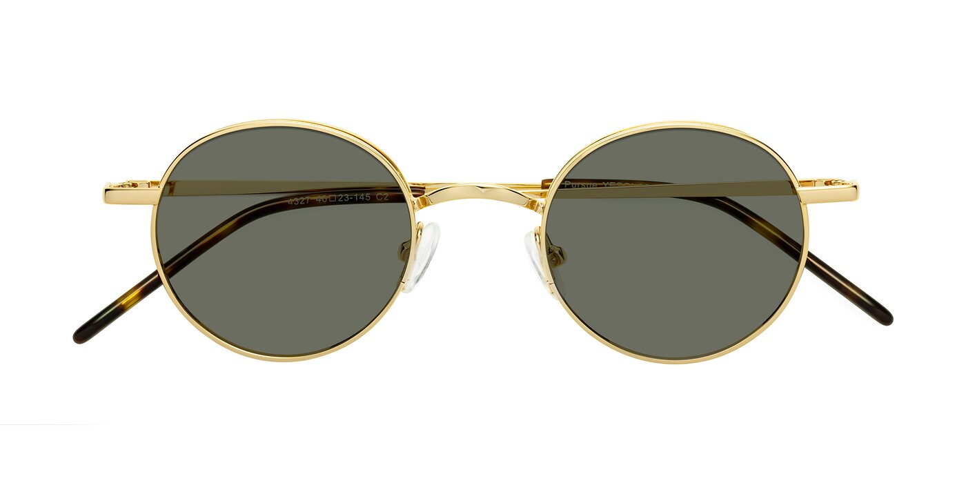 Pursue - Gold Polarized Sunglasses