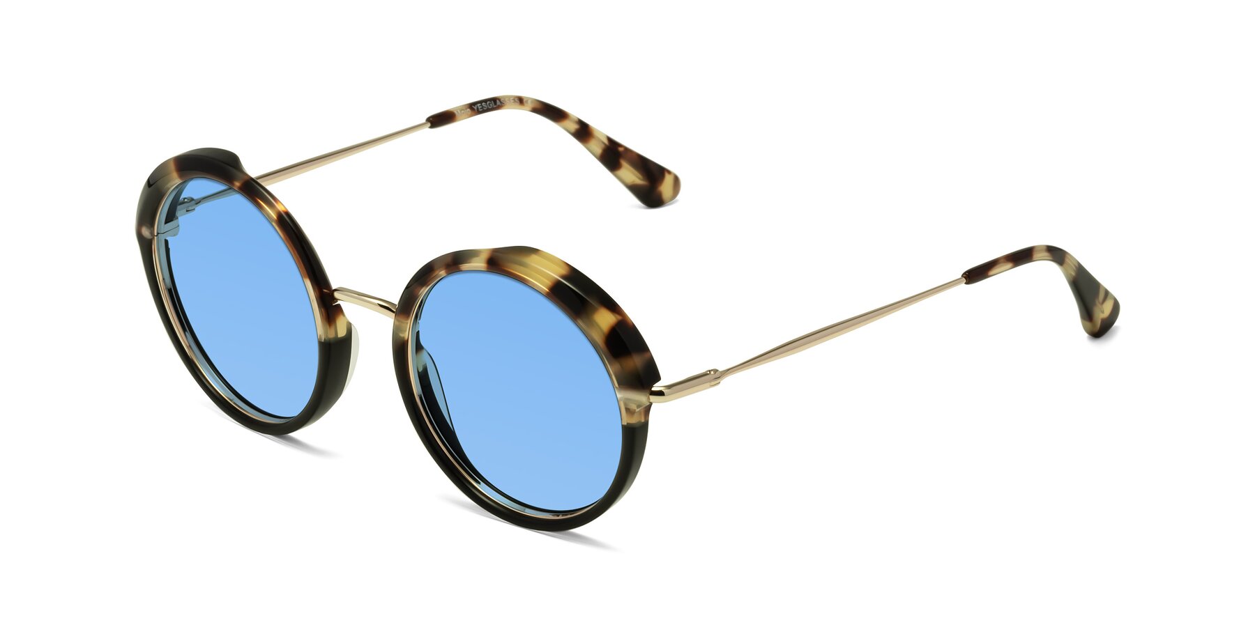 Angle of Mojo in Ivory Tortoise-Black with Medium Blue Tinted Lenses