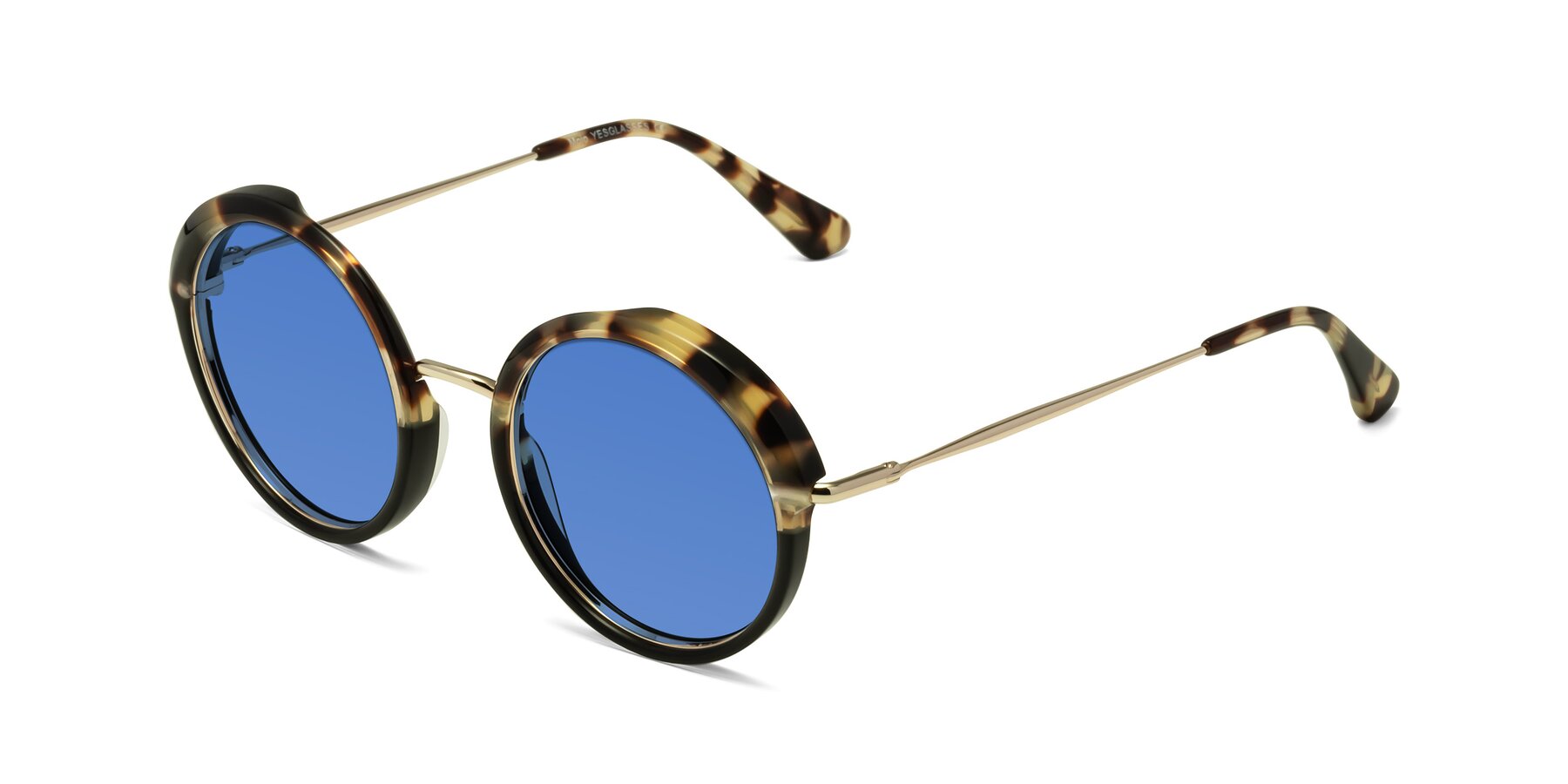 Angle of Mojo in Ivory Tortoise-Black with Blue Tinted Lenses