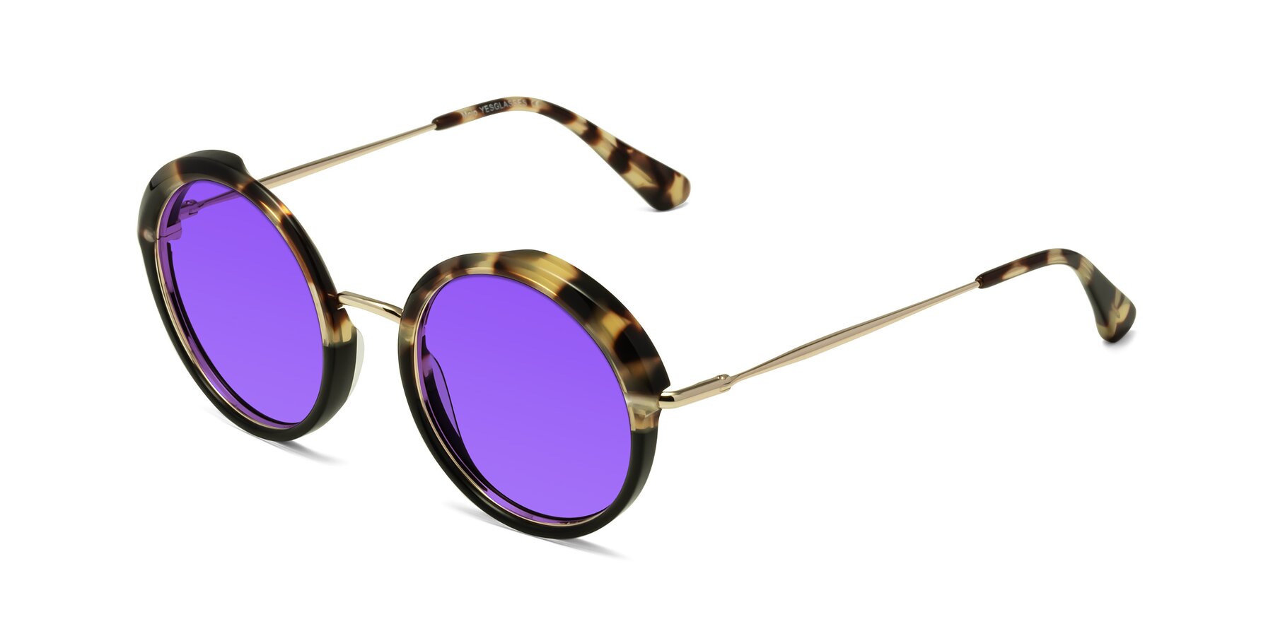 Angle of Mojo in Ivory Tortoise-Black with Purple Tinted Lenses