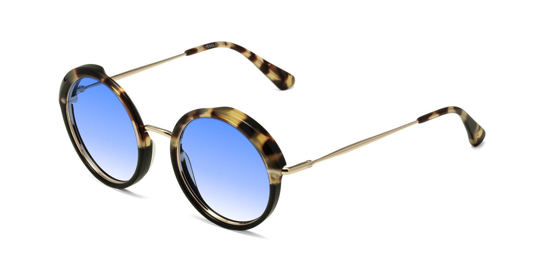 Angle of Mojo in Ivory Tortoise-Black with Blue Gradient Lenses