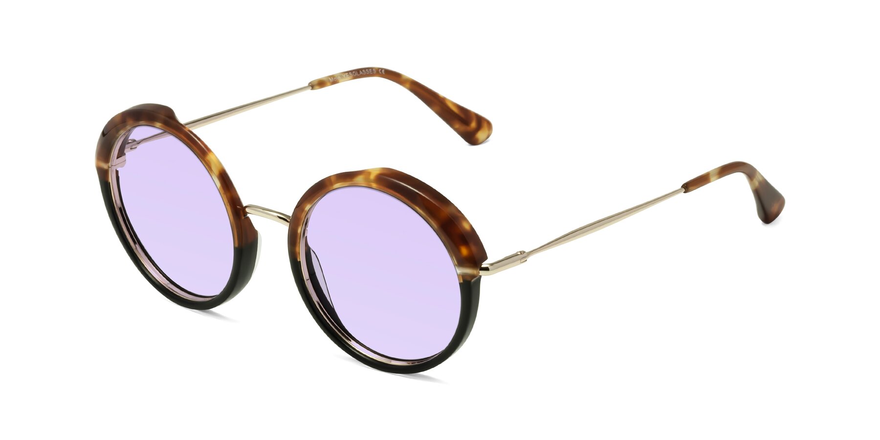 Angle of Mojo in Tortoise-Black with Light Purple Tinted Lenses