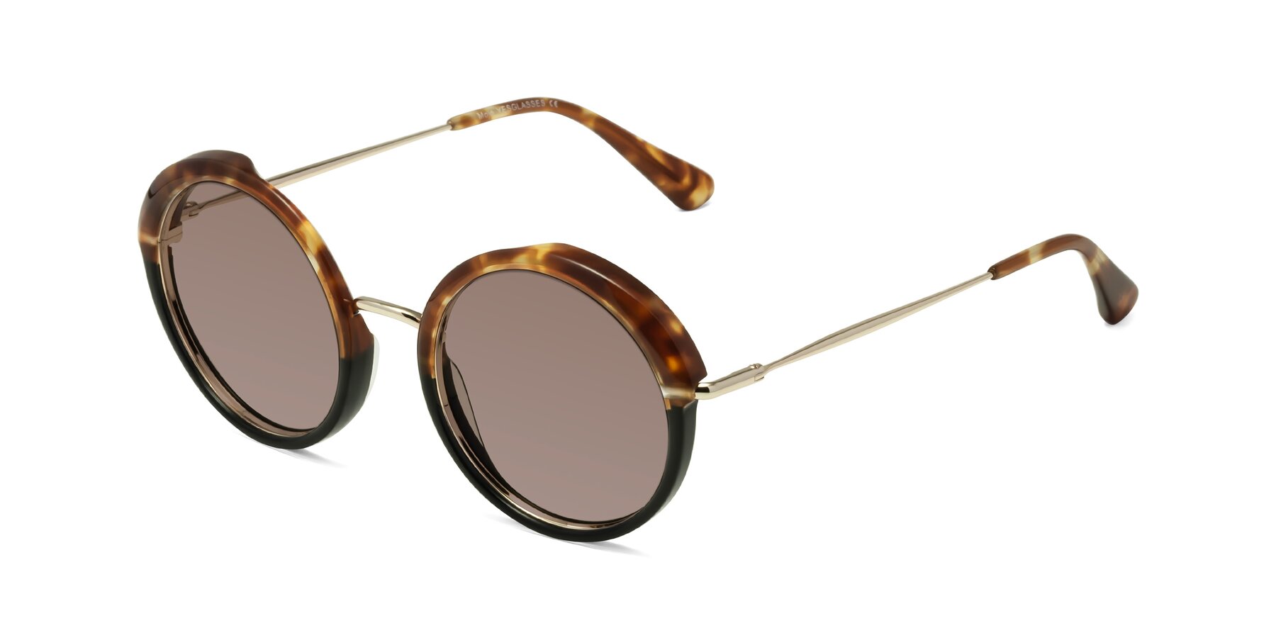 Angle of Mojo in Tortoise-Black with Medium Brown Tinted Lenses