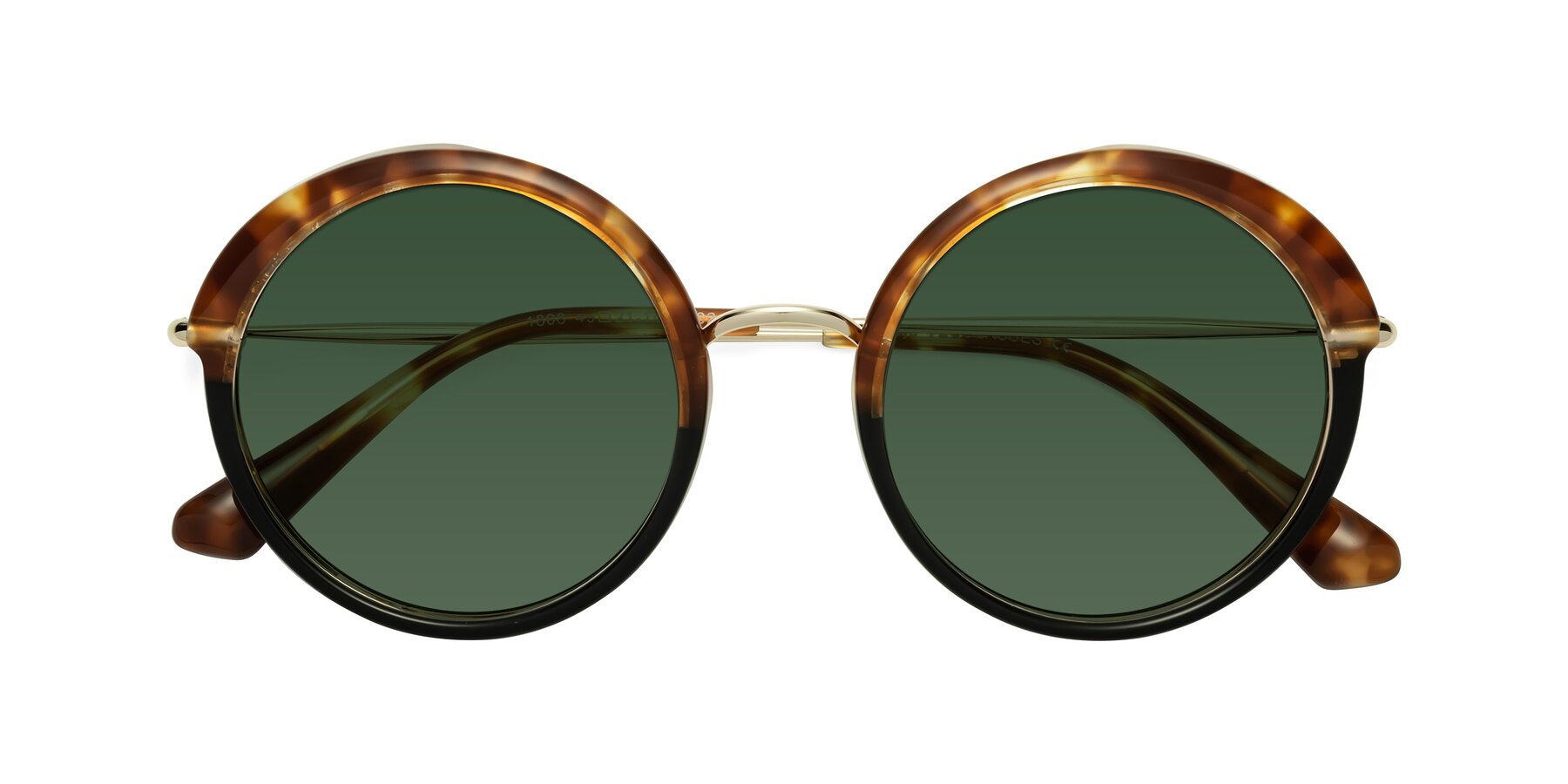 Folded Front of Mojo in Tortoise-Black with Green Tinted Lenses