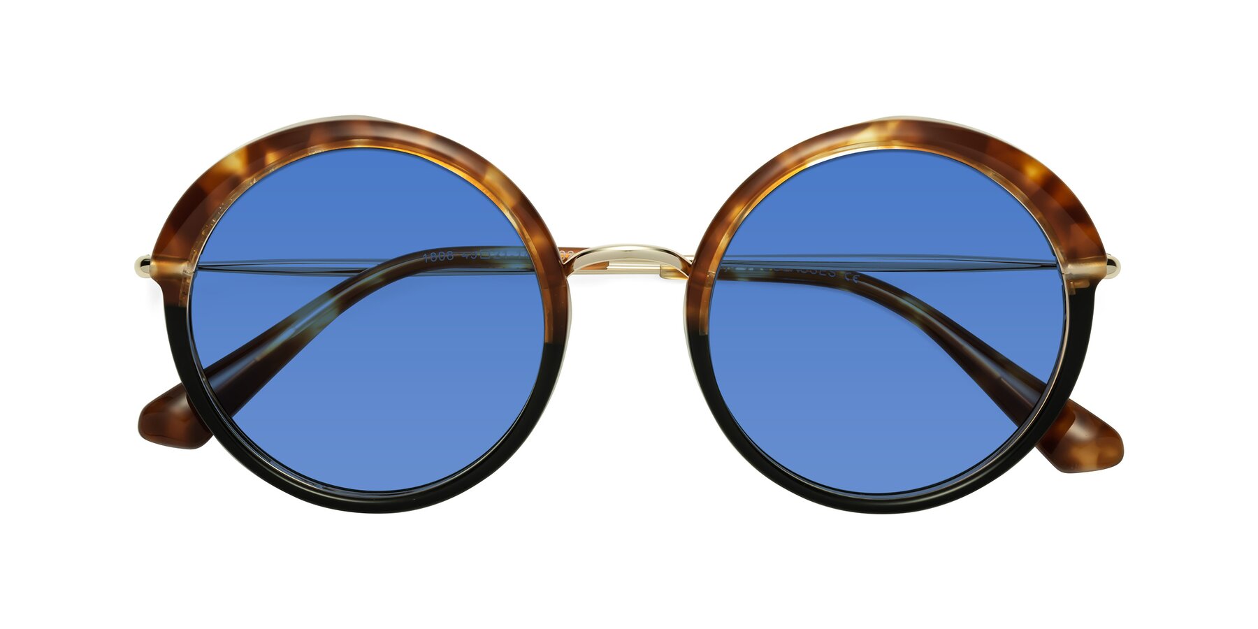 Folded Front of Mojo in Tortoise-Black with Blue Tinted Lenses
