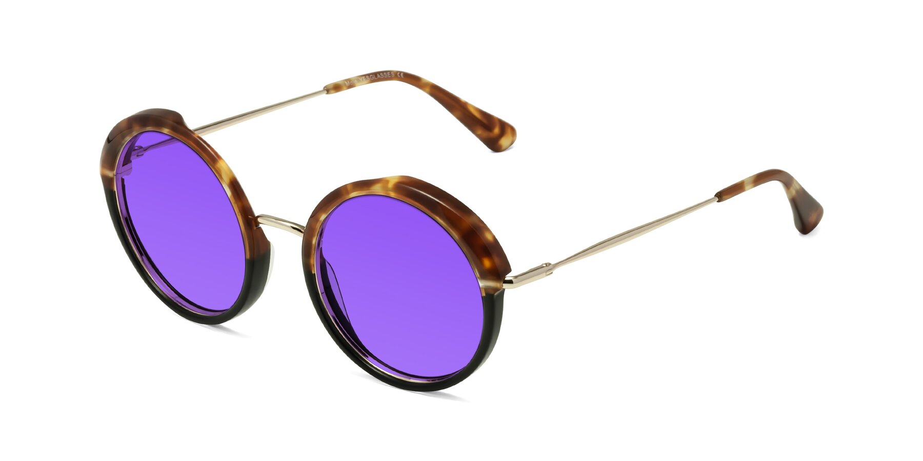 Angle of Mojo in Tortoise-Black with Purple Tinted Lenses