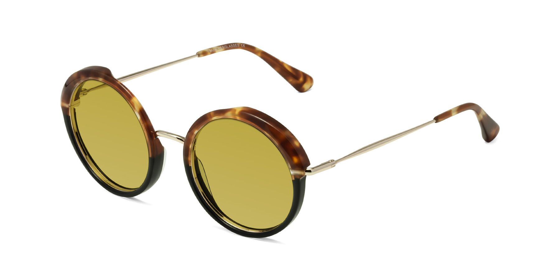 Angle of Mojo in Tortoise-Black with Champagne Tinted Lenses