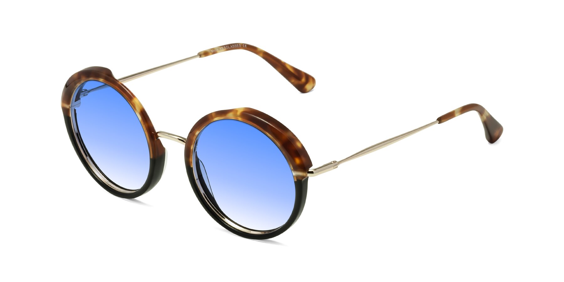 Angle of Mojo in Tortoise-Black with Blue Gradient Lenses