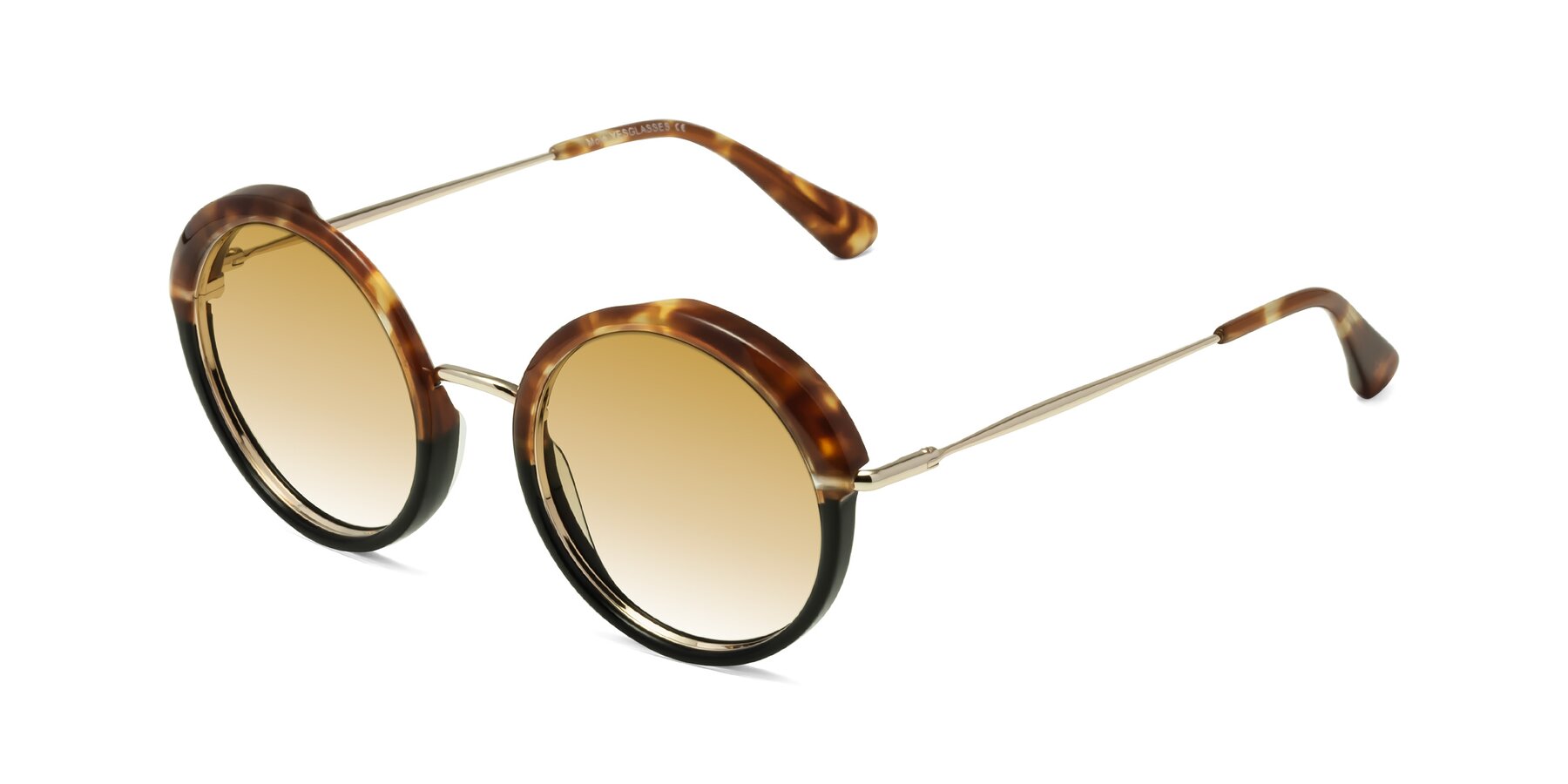 Angle of Mojo in Tortoise-Black with Champagne Gradient Lenses