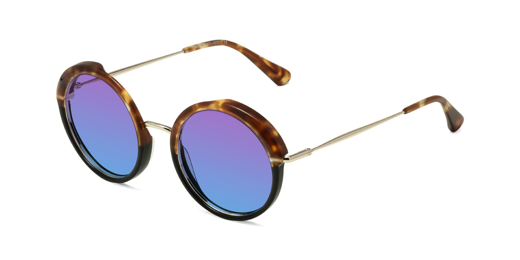 Angle of Mojo in Tortoise-Black with Purple / Blue Gradient Lenses