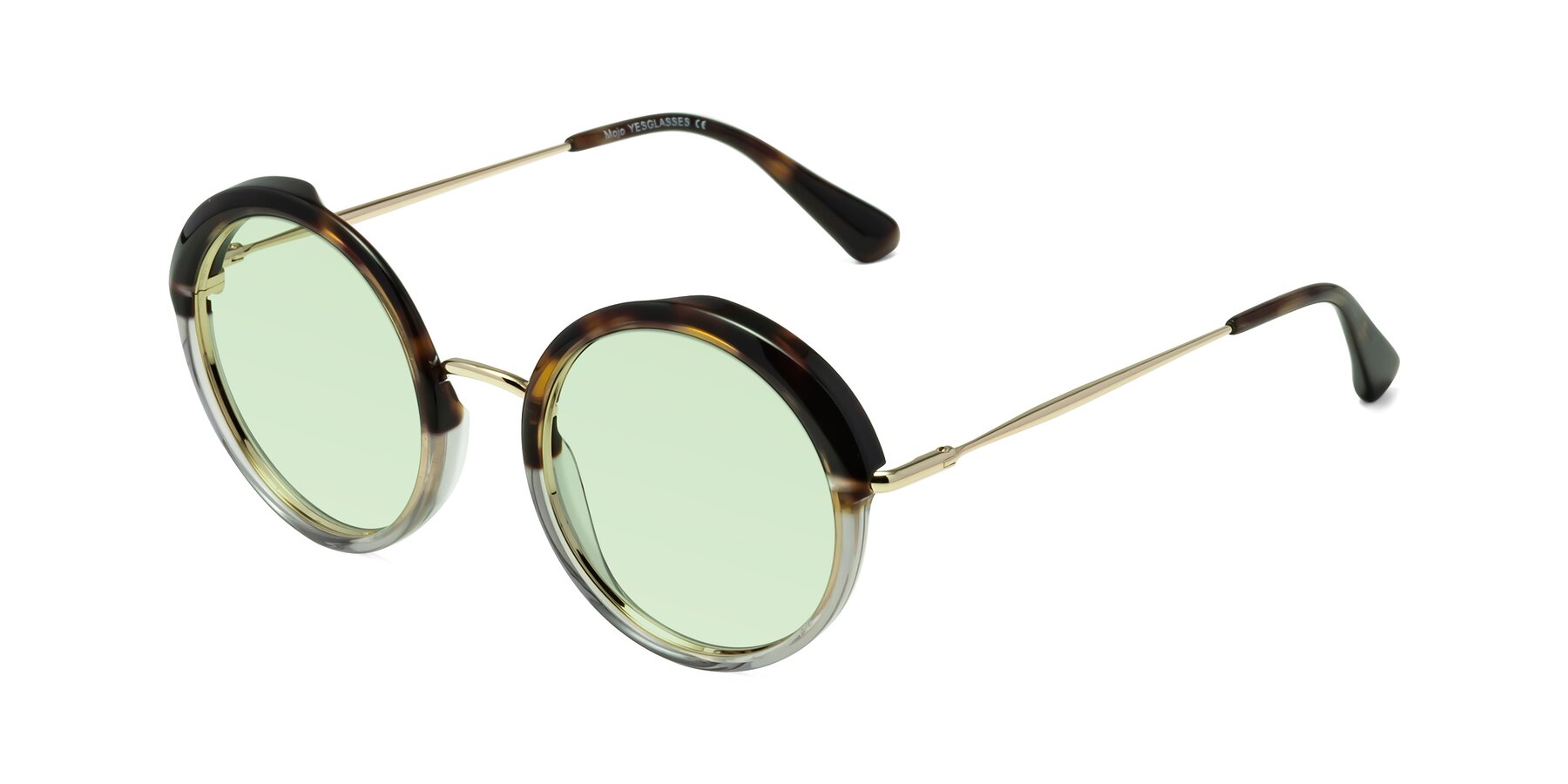 Angle of Mojo in Tortoise-Clear with Light Green Tinted Lenses