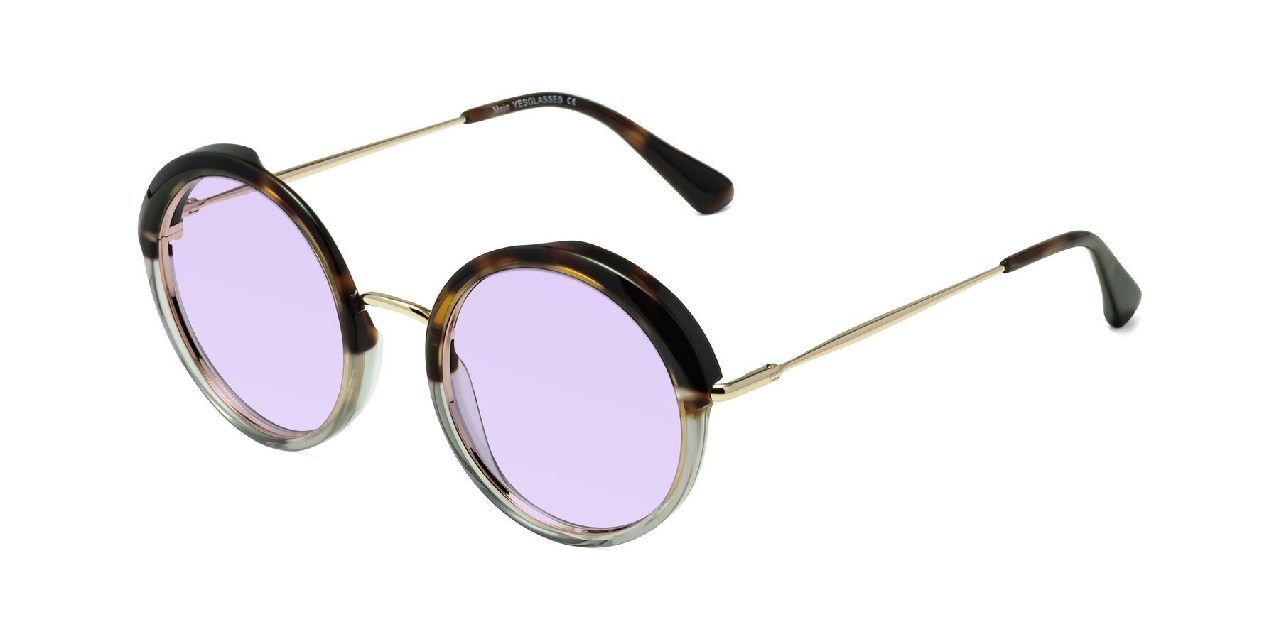 Angle of Mojo in Tortoise-Clear with Light Purple Tinted Lenses