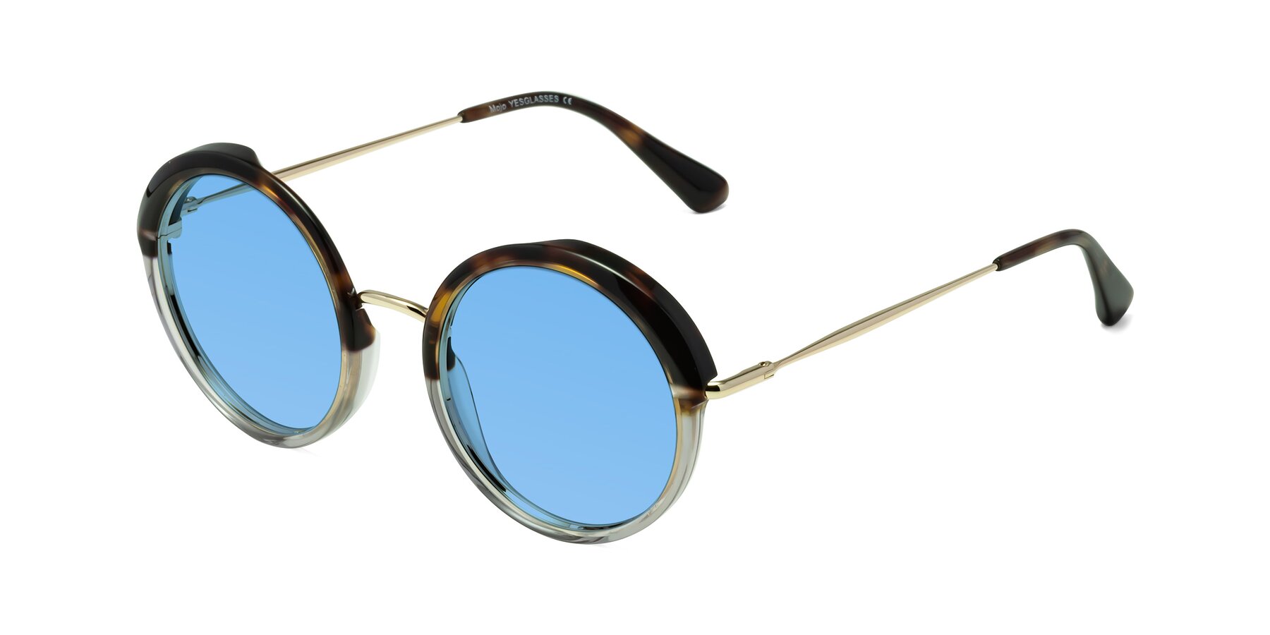 Angle of Mojo in Tortoise-Clear with Medium Blue Tinted Lenses