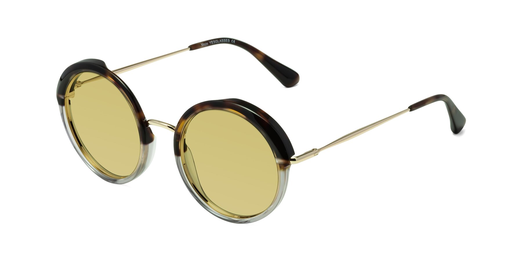 Angle of Mojo in Tortoise-Clear with Medium Champagne Tinted Lenses