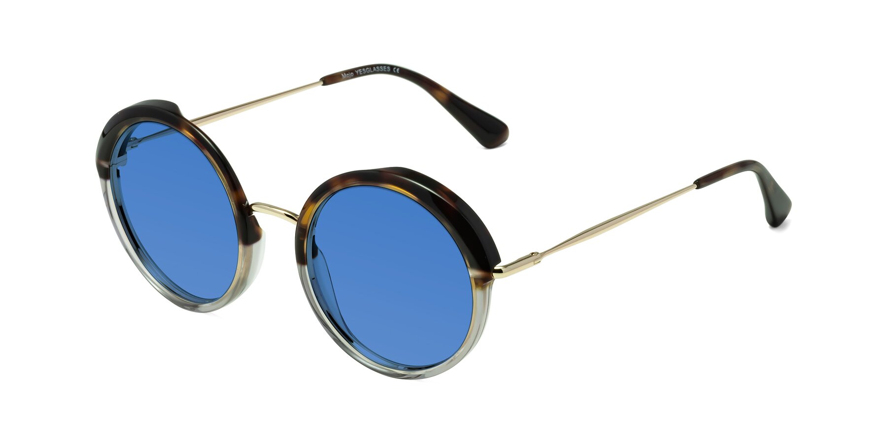 Angle of Mojo in Tortoise-Clear with Blue Tinted Lenses