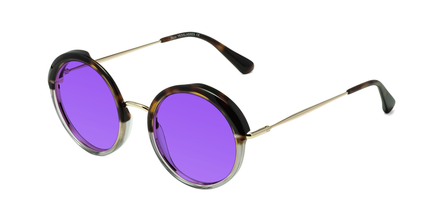 Angle of Mojo in Tortoise-Clear with Purple Tinted Lenses