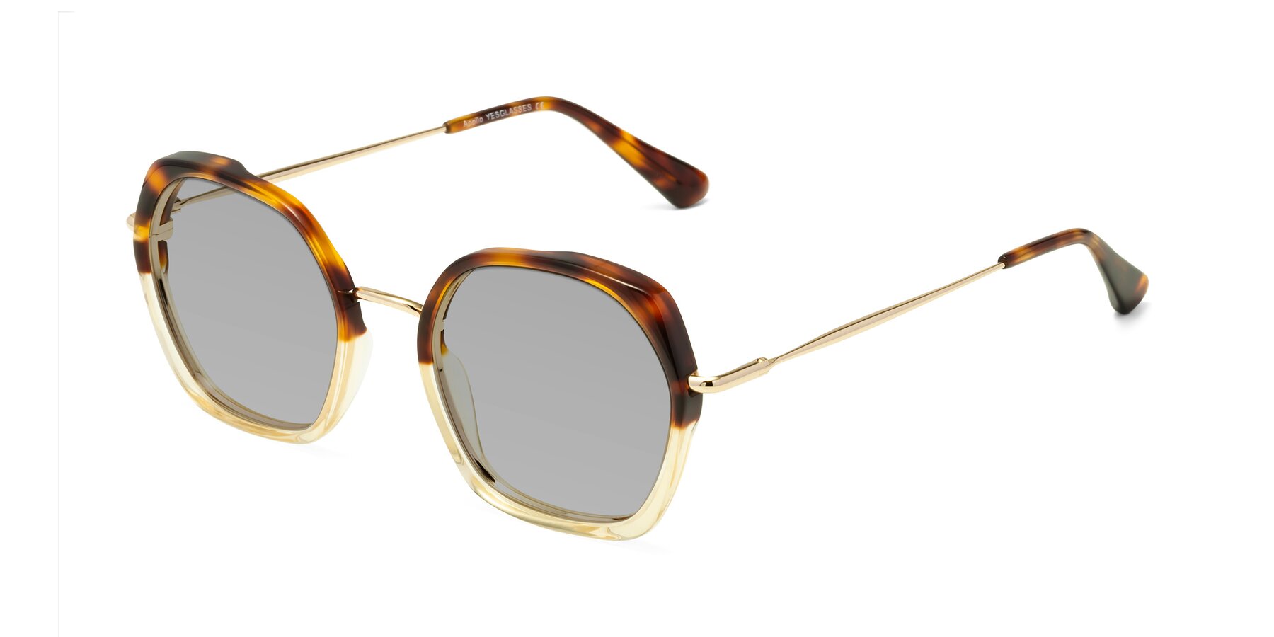 Angle of Apollo in Tortoise-Champagne with Light Gray Tinted Lenses