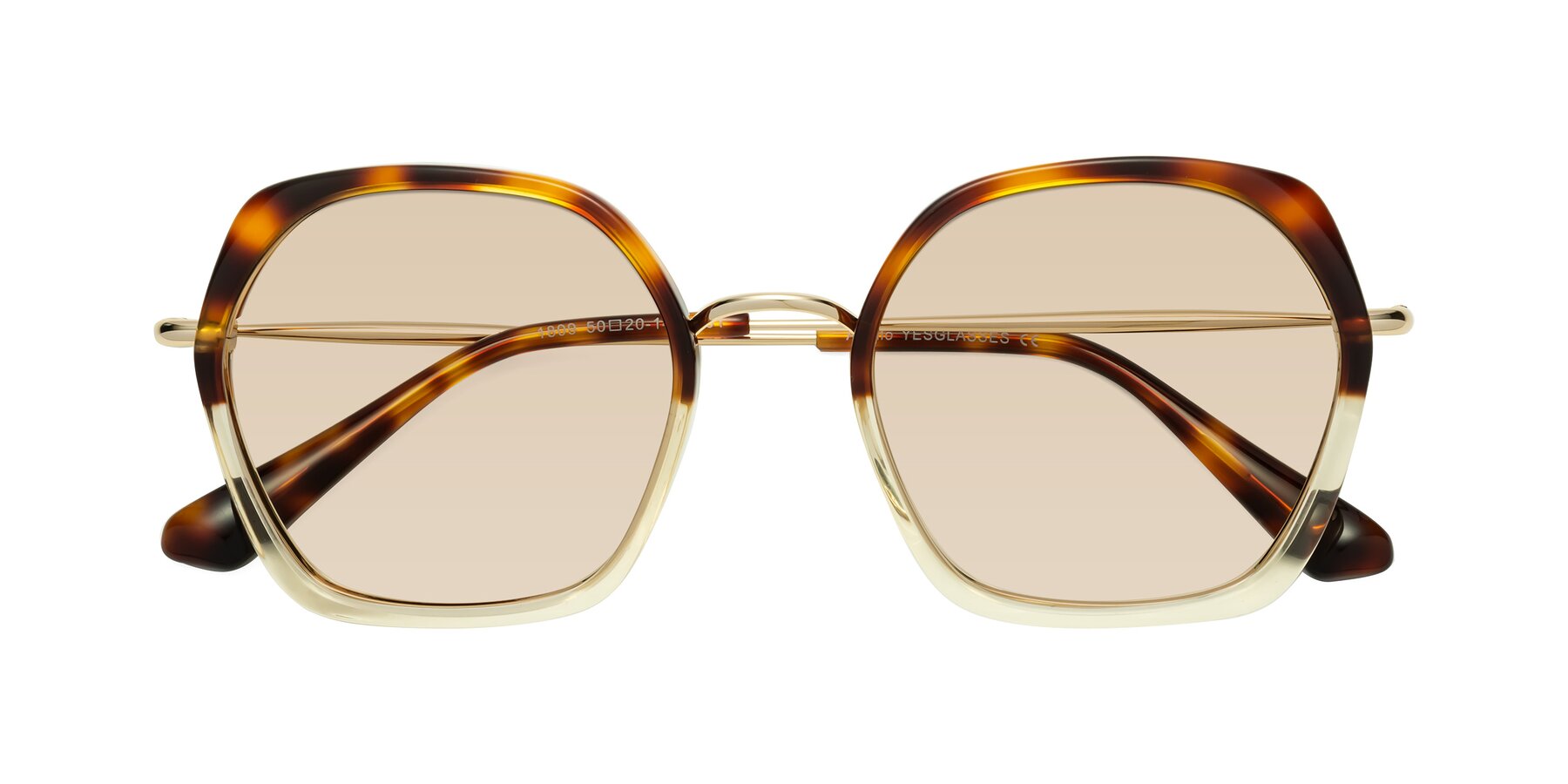 Folded Front of Apollo in Tortoise-Champagne with Light Brown Tinted Lenses