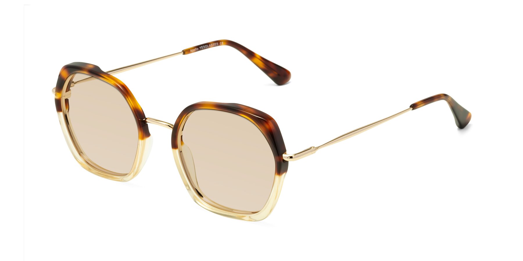 Angle of Apollo in Tortoise-Champagne with Light Brown Tinted Lenses