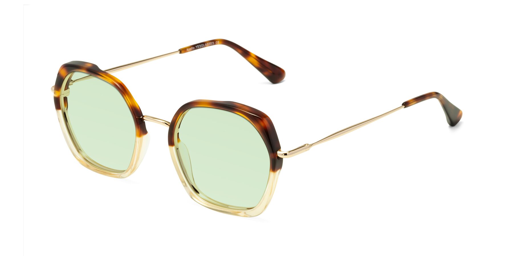 Angle of Apollo in Tortoise-Champagne with Light Green Tinted Lenses