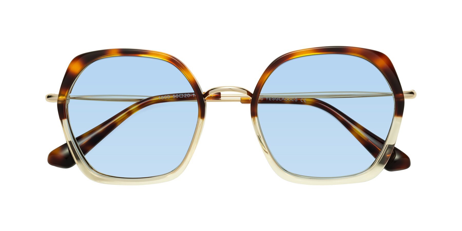 Folded Front of Apollo in Tortoise-Champagne with Light Blue Tinted Lenses