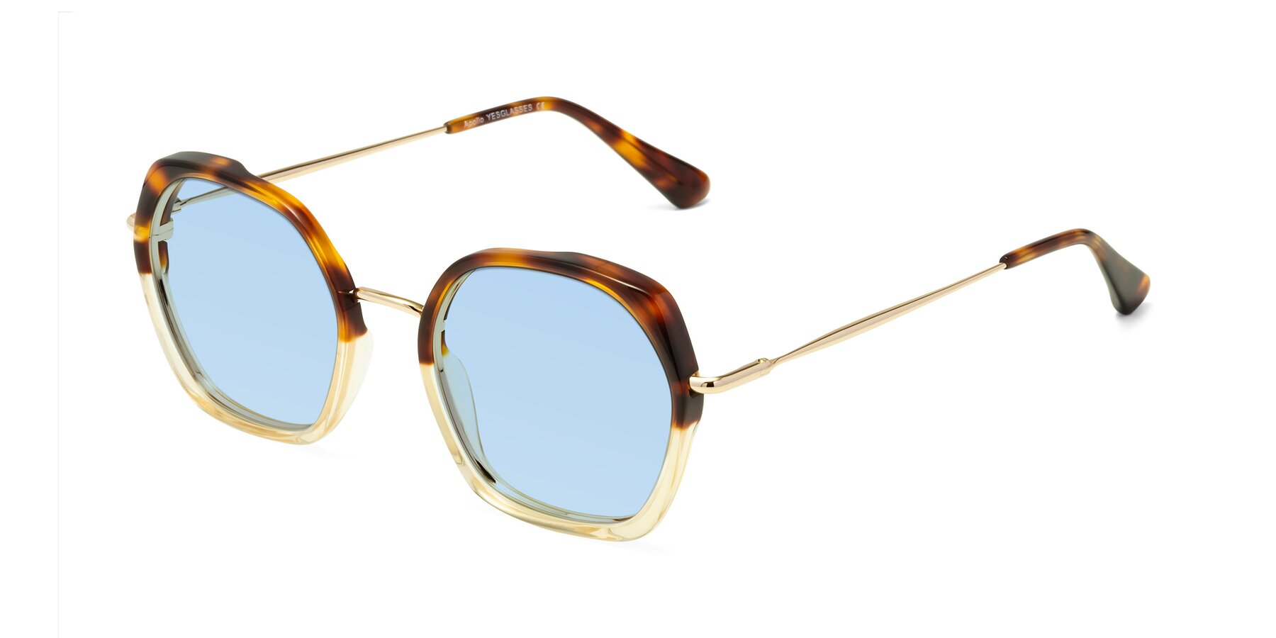 Angle of Apollo in Tortoise-Champagne with Light Blue Tinted Lenses